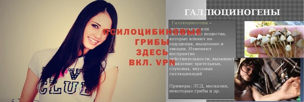 a pvp Касимов