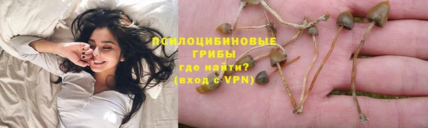 экстази Карпинск