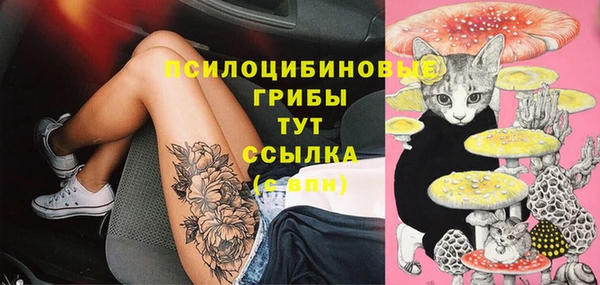 spice Карталы