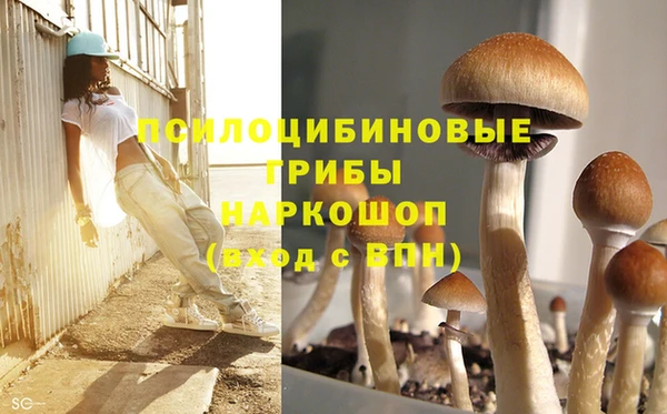 экстази Карпинск