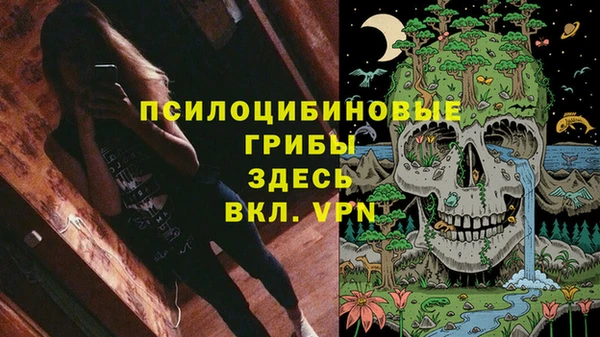 a pvp Касимов