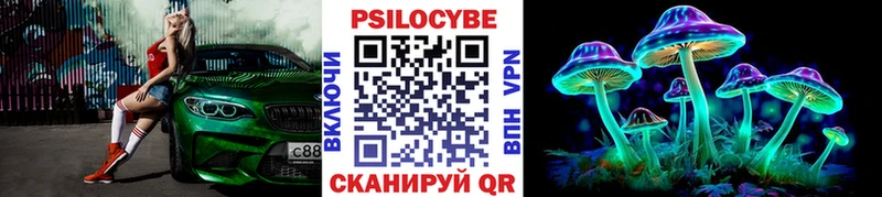 kraken как зайти  Шебекино  Галлюциногенные грибы мухоморы  наркота 