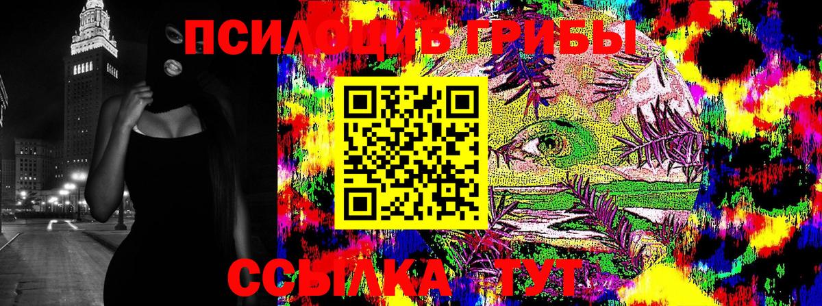 Галлюциногенные грибы Cubensis  Галлюциногенные грибы мицелий  Вход с VPN  купить   Шебекино 
